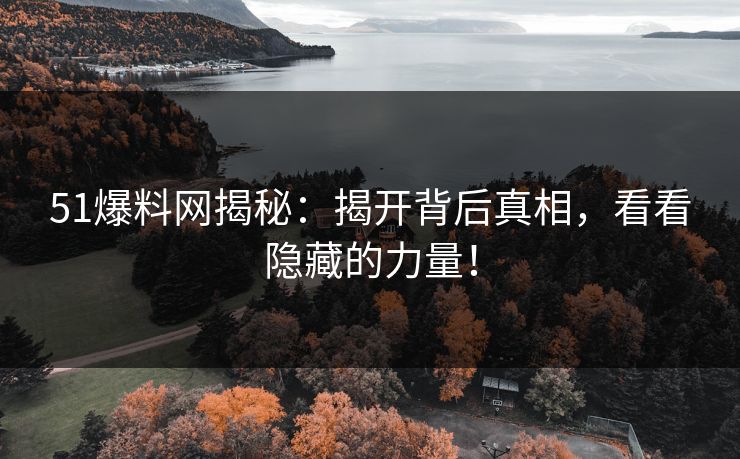 51爆料网揭秘：揭开背后真相，看看隐藏的力量！