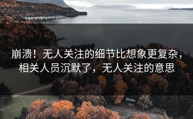 崩溃！无人关注的细节比想象更复杂，相关人员沉默了，无人关注的意思