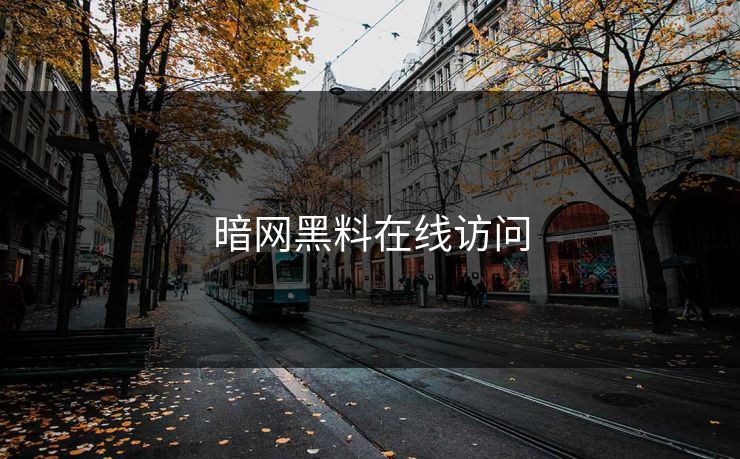 暗网黑料在线访问